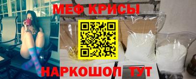 индика Кингисепп