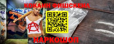 индика Кингисепп