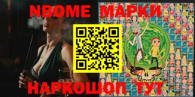 индика Кингисепп