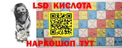 индика Кингисепп