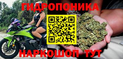 мет Кимры
