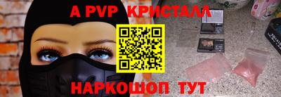 индика Кингисепп