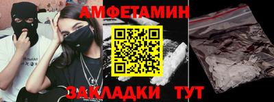 индика Кингисепп