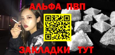 индика Кингисепп