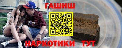 индика Кингисепп